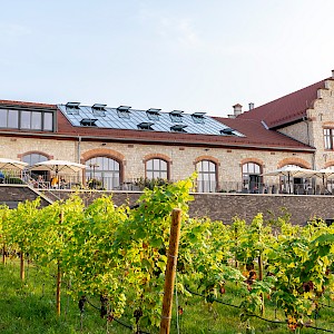 Spielstätten in Rheinland-Pfalz | Ingelheimer Winzerkeller